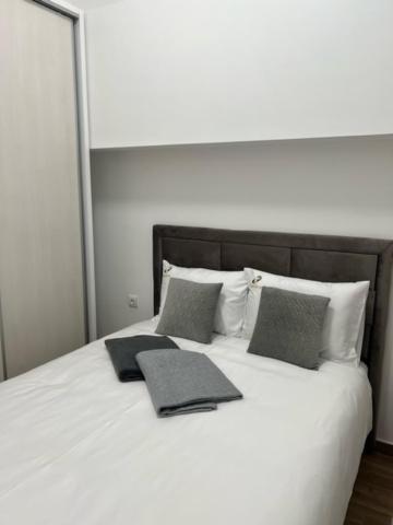 Appartamento Centar Ns 5 Novi Sad Esterno foto