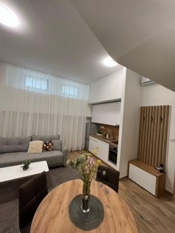 Appartamento Centar Ns 5 Novi Sad Esterno foto